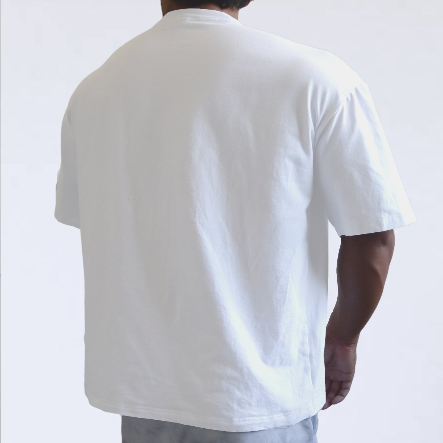 BIG T-SHIRT　volkh　SLIM LINE WHITE